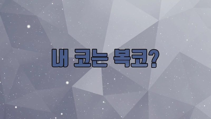 비절개코성형 절개가 두려운 경우라면