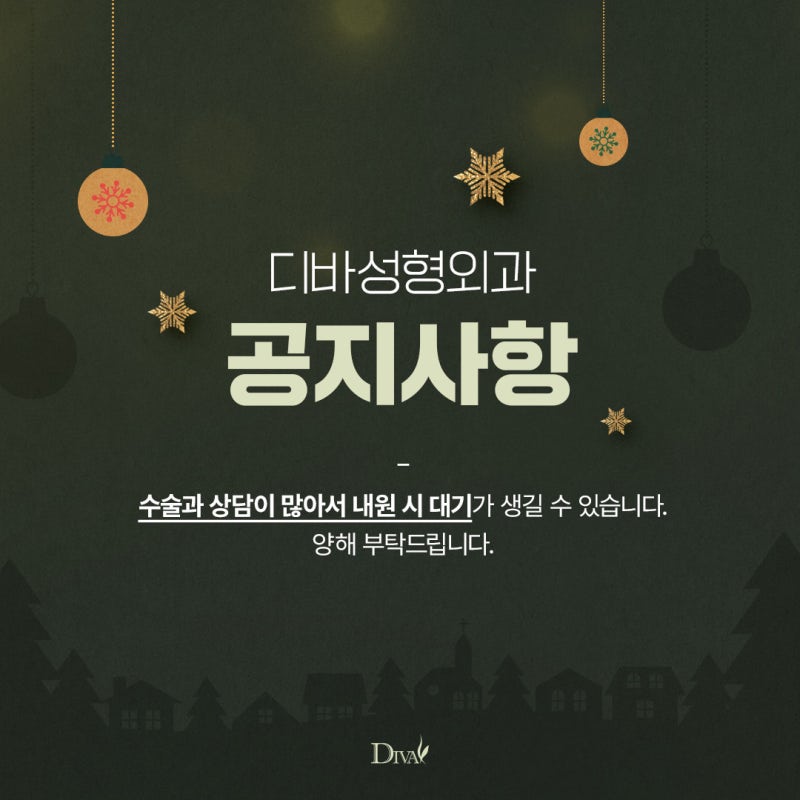 디바성형외과 12월 진료안내!!
